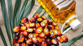 Las autoridades van al supermercado y lanzan alerta tras destapar el plan oculto para reintroducir el aceite de palma