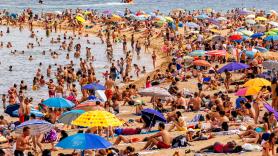 En Reino Unido hablan de "pánico" en España por la amenaza invasora costera que llega antes de verano