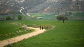 Quedan al descubierto los tesoros ocultos de una nueva ruta pegada al Camino de Santiago
