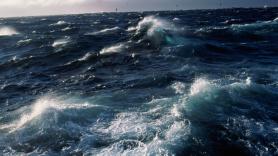 Hallan un "túnel del tiempo" en el fondo del Océano Pacífico: "Es imposible dimensionar el impacto ecológico de esta única perturbación"