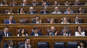 Acusan a un diputado de Vox de quedarse dormido en el Congreso durante el debate sobre el apagón