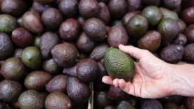 España enciende las alarmas al duplicarse los aguacates contaminados que llegan de los países frecuentes en nuestros supermercados
