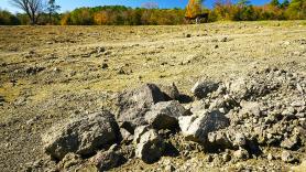 Un niño de 14 años pasea por el parque, tropieza con lo que parece una piedra y con un gesto se hace millonario