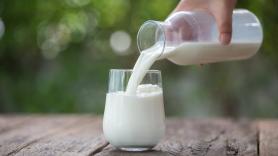 Un nutricionista pide evitar este tipo de leche y tirarla a la basura si la tienes en la nevera: destruye proteínas valiosas