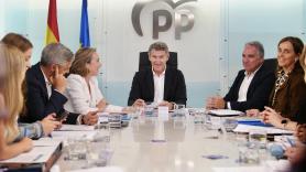 El Constitucional avala la amnistía y afea al PP una postura "incompatible con una Constitución" plural