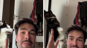 Deja una cámara oculta para grabar a su perro cuando no está en casa y se lleva la sorpresa al volver