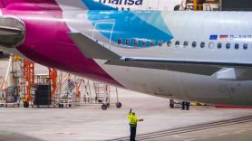 El avión se prepara para despegar rumbo a Málaga cuando de repente un trabajador da la voz de alarma por un "polizón"