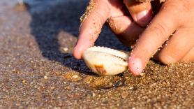 Esta es la multa que te puede caer por llevarte conchas o arena de la playa