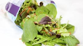 Un estudio alerta del parásito de la toxoplasmosis en las bolsas de ensalada listas para comer