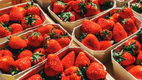 Una investigadora revela el truco para detectar las fresas más dulces y pide elegir las de este tamaño