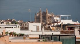 Los británicos activan la alarma del horror por la isla española plagada de "ratas del tamaño de conejos"
