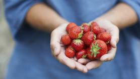 Un frutero gaditano es tajante con su opinión sobre las fresas de Huelva: "No veas el olor y sabor que tienen"