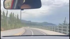 Unas españolas se van de viaje a Albania y lo que hacen con el coche es para darles de comer a parte
