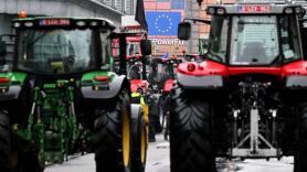 "A la PAC le quitan la 'C' de común": el "tijeretazo" de la UE a los fondos agrarios siembra la ira del campo