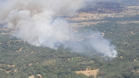 Medio centenar de medios trabaja en un fuego de gravedad 2 en Navaluenga (Ávila)