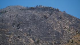 El incendio en Villena (Alicante) sigue activo y se trabaja en un rebrote del fuego