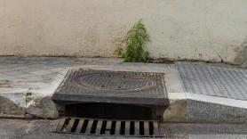 Plaga sin precedentes: las cucarachas salen de las alcantarillas e invaden las calles de esta ciudad a dos pasos de España