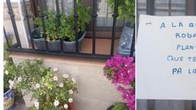 Le suelen robar las macetas y planta un cartel que debería estar expuesto en el Museo del Prado