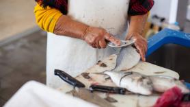 Bono Peixe de 50 euros en Galicia: cómo descargar, cuándo se agota y todos los detalles sobre la ayuda