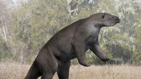 Los trabajadores de la construcción topan con lo que parece una herramienta y acaba siendo un gigante prehistórico