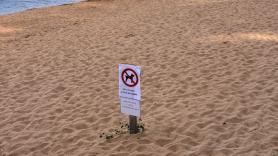 Prohíben entrar con perros en esta playa de Asturias y el añadido que le ponen al cartel es demoledor