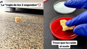 Una científica pone a prueba la 'regla de los 3 segundos': un alimento cae al suelo, lo recoge rápido y lo somete a examen