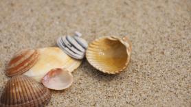 Salvan la vida a una bebé que se asfixiaba tras tragarse una concha en la playa
