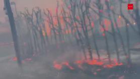 Logran perimetrar las llamas en Tres Cantos (Madrid) y el incendio tiene evolución favorable