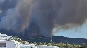 Investigan la posible intencionalidad de los incencios de Mombeltrán (Ávila) y Tarifa (Cádiz): hay un detenido