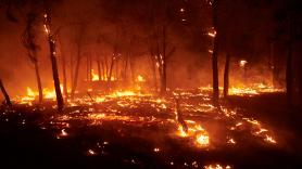 Interior declara la fase de preemergencia ante los "numerosos incendios" activos en España