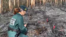 Investigada una mujer por provocar cinco incendios forestales en A Coruña