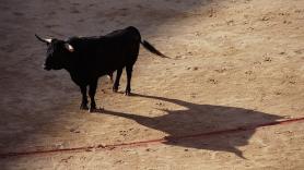 Un medio francés se fija en el proyecto del toro gigante y lo describe en estos términos