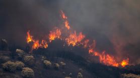 Un bombero responde a las palabras de un consejero de Castilla y León: "De cemento armado la cara del tipo este"