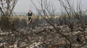 La Sierra de la Culebra y Zamora reviven la pesadilla de los incendios tres años después: "No ha cambiado nada"