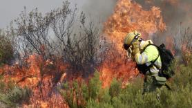 España, a merced de las llamas por sexto día: más de 115.000 hectáreas quemadas, tres muertos, miles de desalojados y varios detenidos