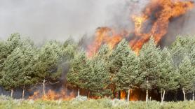 Interior cifra en 16 los incendios activos en nivel de gravedad 2