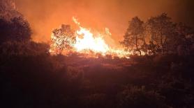 Sánchez viajará el martes a Extremadura por el incendio de Jarilla