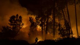 La Fiscalía indaga la ausencia de planes para hacer frente a la peor oleada de incendios en tres décadas