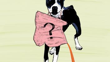 Perro Lobo Sánchez