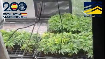 Bajo tierra: hallan una plantación de marihuana y dos laboratorios de coca en Málaga