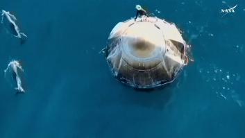 Las simpáticas imágenes de varios delfines rodeando a los astronautas de SpaceX tras caer al mar