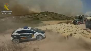 Así ha desalojado la Guardia Civil a más de 400 ovejas ante el incendio de Añorbe (Navarra)