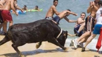 Muere un toro ahogado en Denia durante la celebración del 'Bous a la mar'