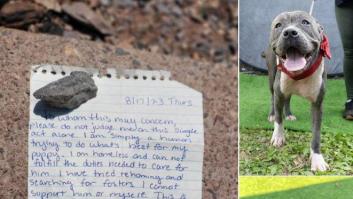 La emotiva carta del dueño de un perro que emociona en redes sociales, y con razón