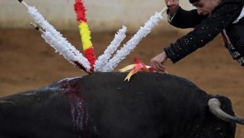 Castilla y León patrocina cursos infantiles para fabricar y poner banderillas a los toros