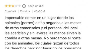Critica a un restaurante por permitir entrar a perros y la respuesta de los dueños es... guau
