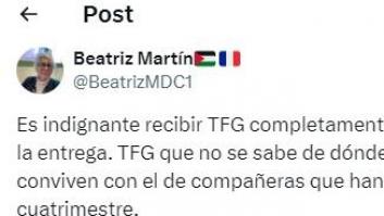 Una profesora universitaria alza la voz ante lo que han hecho algunos de sus alumnos con el TFG