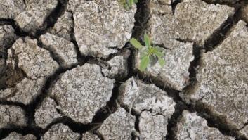 La sequía en EEUU irá a más en los próximos años, según un estudio