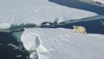 Cosas que hacer en el Ártico tras el Gran Deshielo