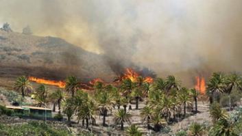 Los dos incendios de La Gomera estables tras el cambio en el tiempo (FOTOS)